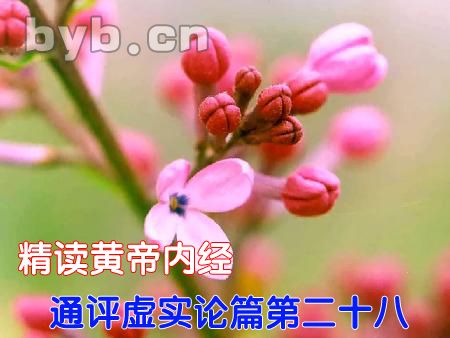 byb.cn